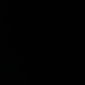 Live show bundle for @aaturnage